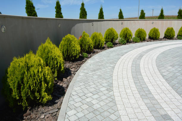 Best Professional Driveway Pavers  in Tornillo, TX